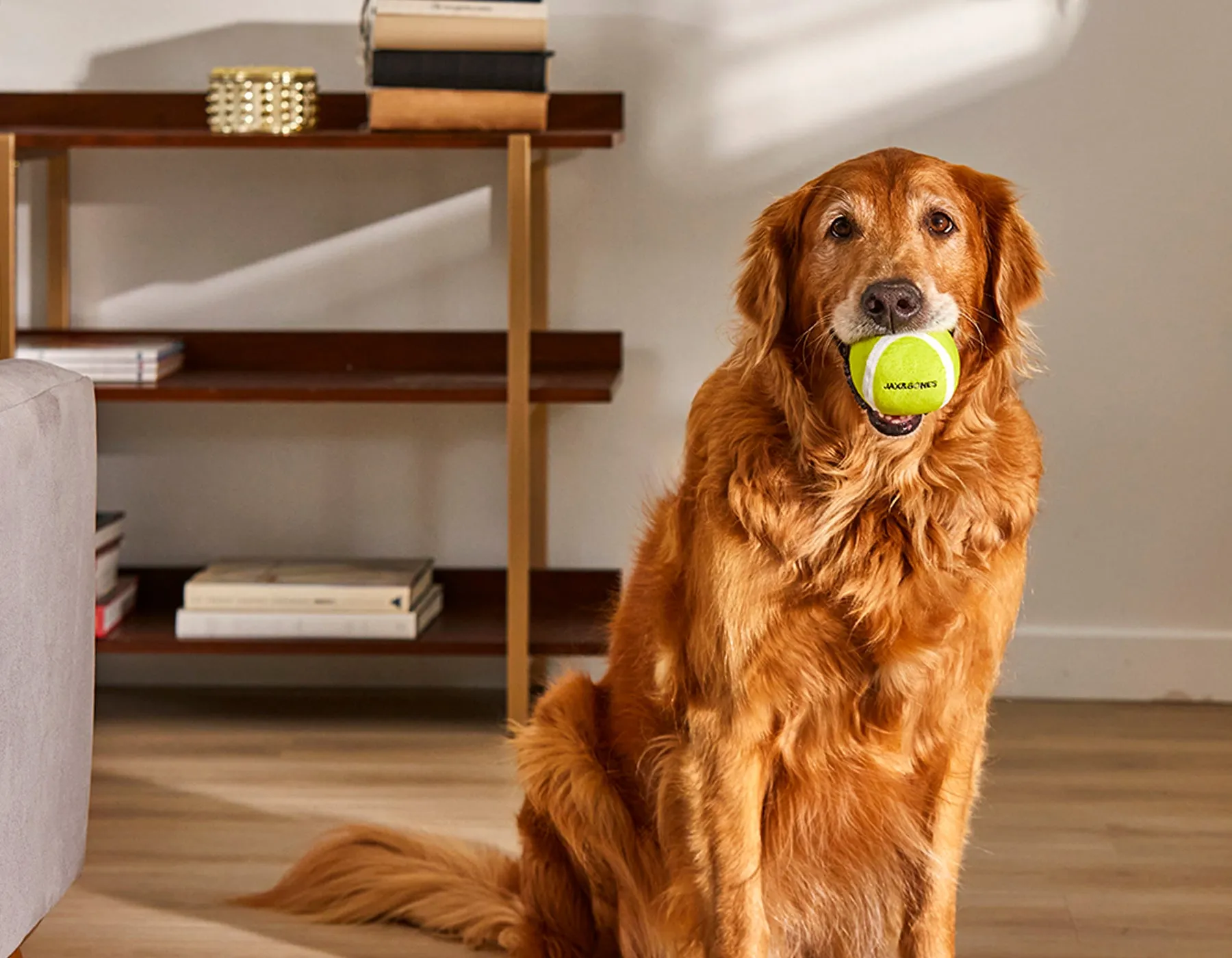 3" Tennis Ball Plush Toy