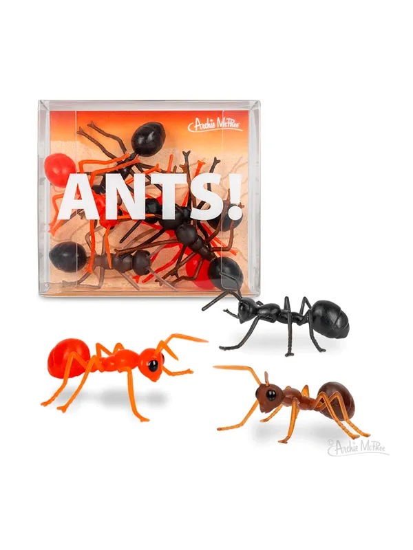 Ants!