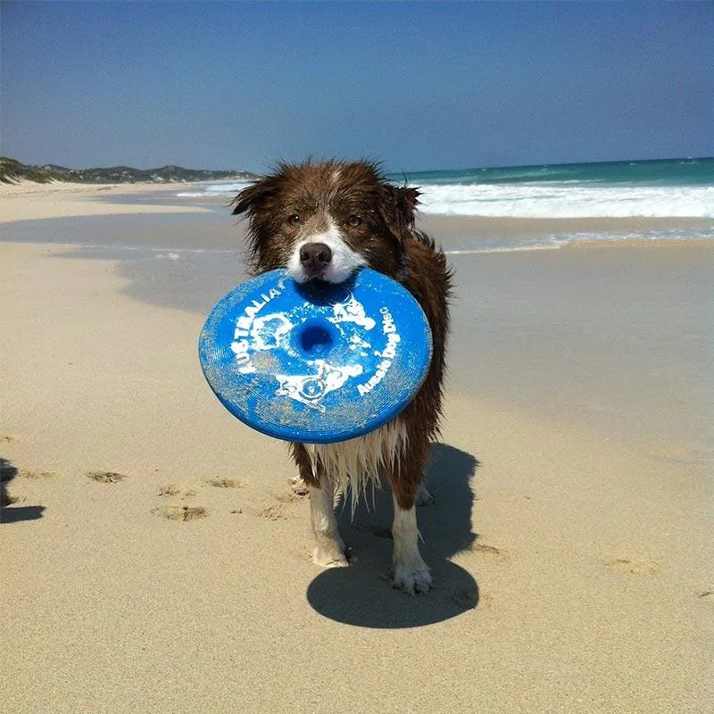 Aussie Dog Disc Blue