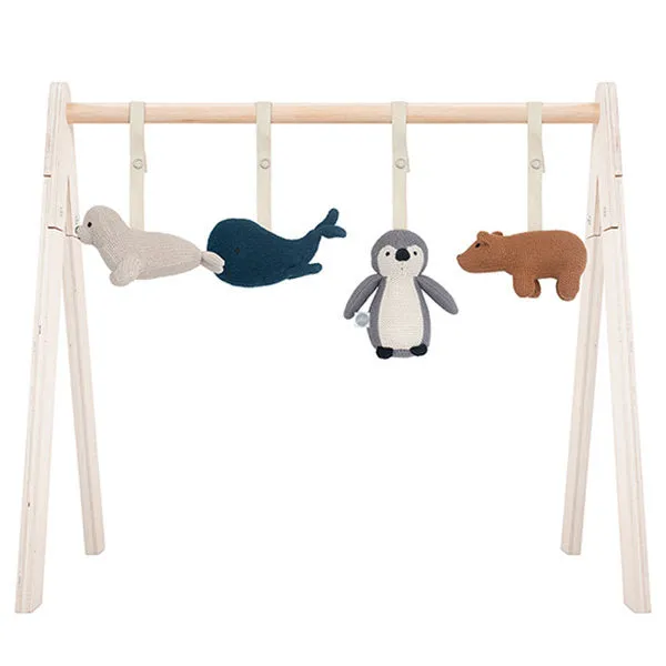 Babygym Toys