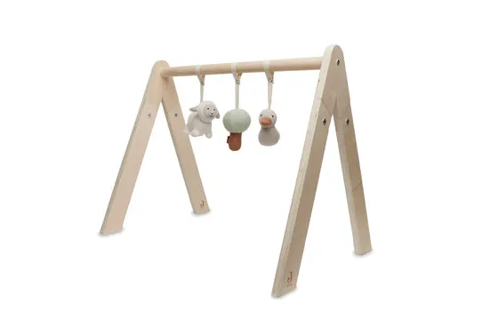 Babygym Toys