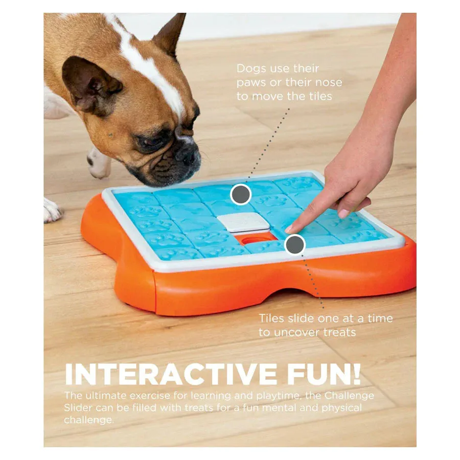 Challenge Slider Interactive Treat Puzzle go Toy