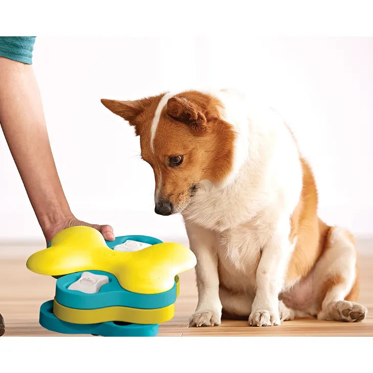 dog tornado puzzle toy