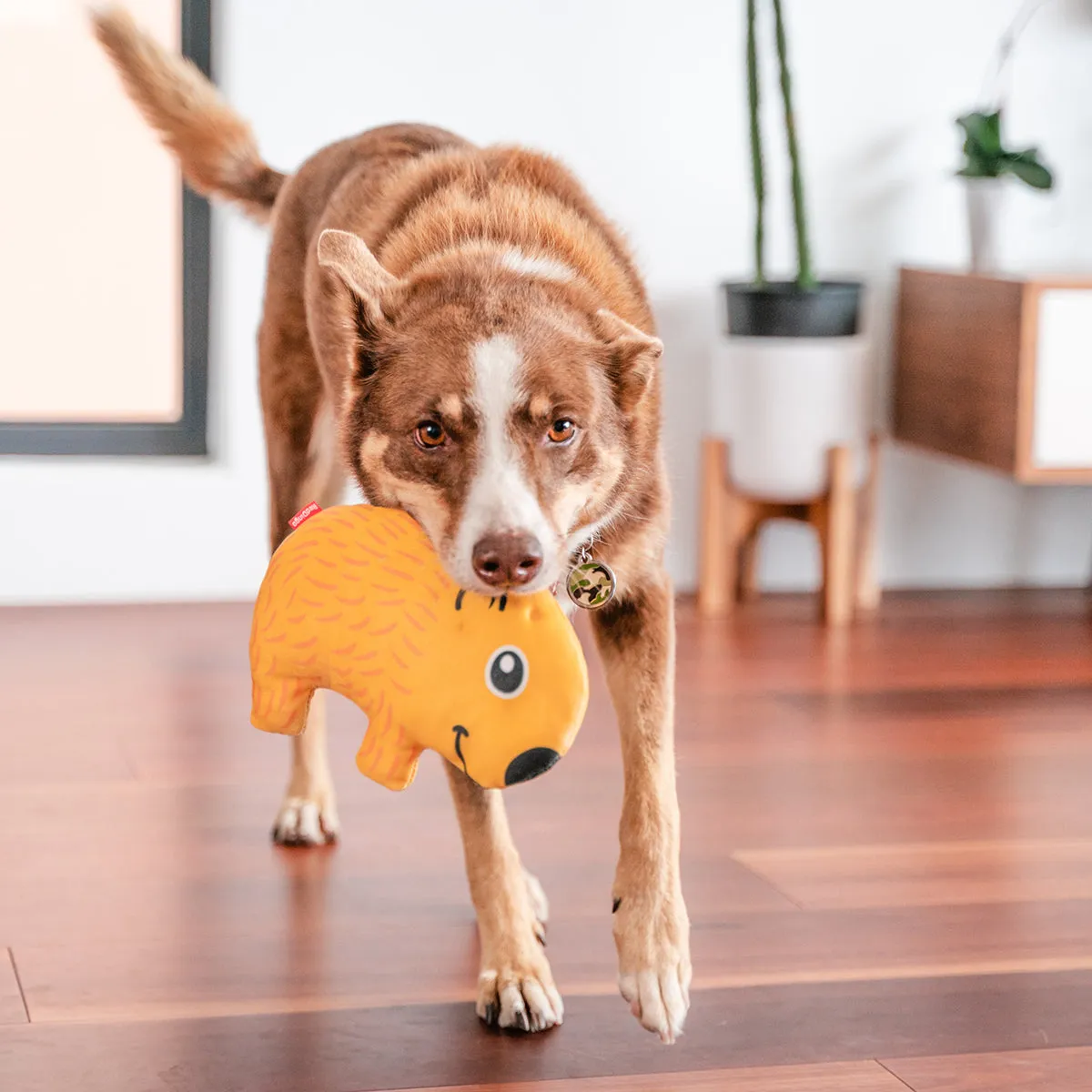 Durables Wendy The Wombat Dog Toy