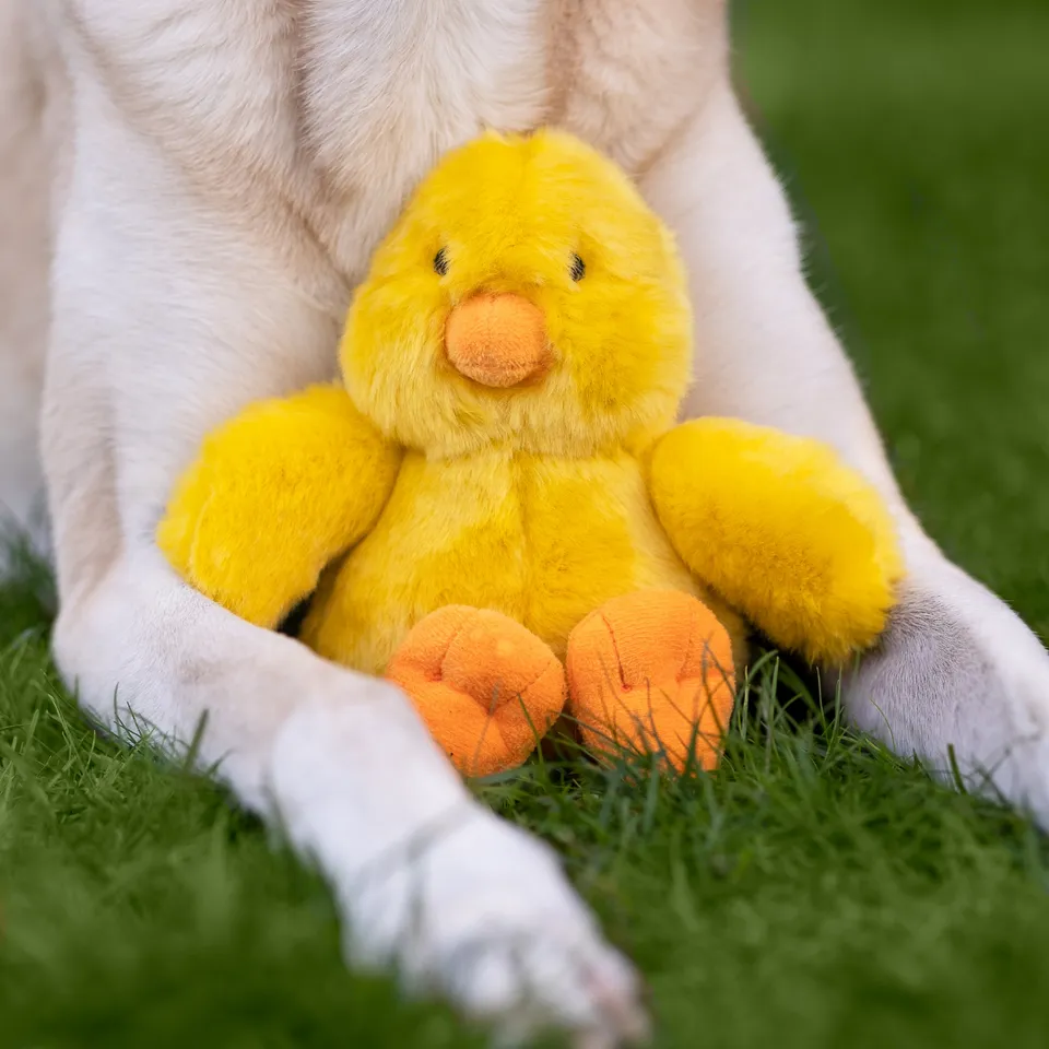 Fluff & Tuff Howie Duck Plush Dog Toy - Wholesale