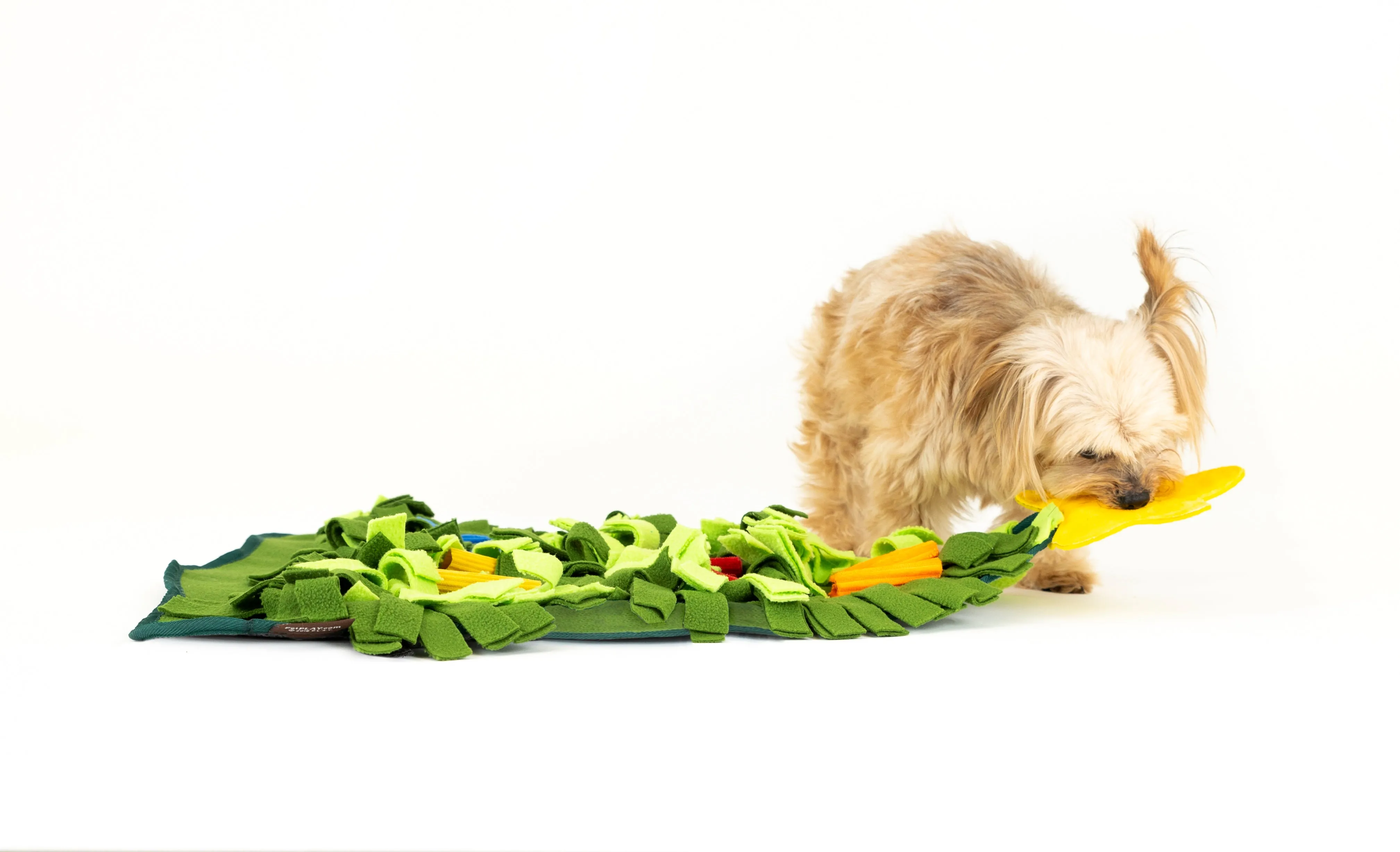 Holiday Snuffle Mat