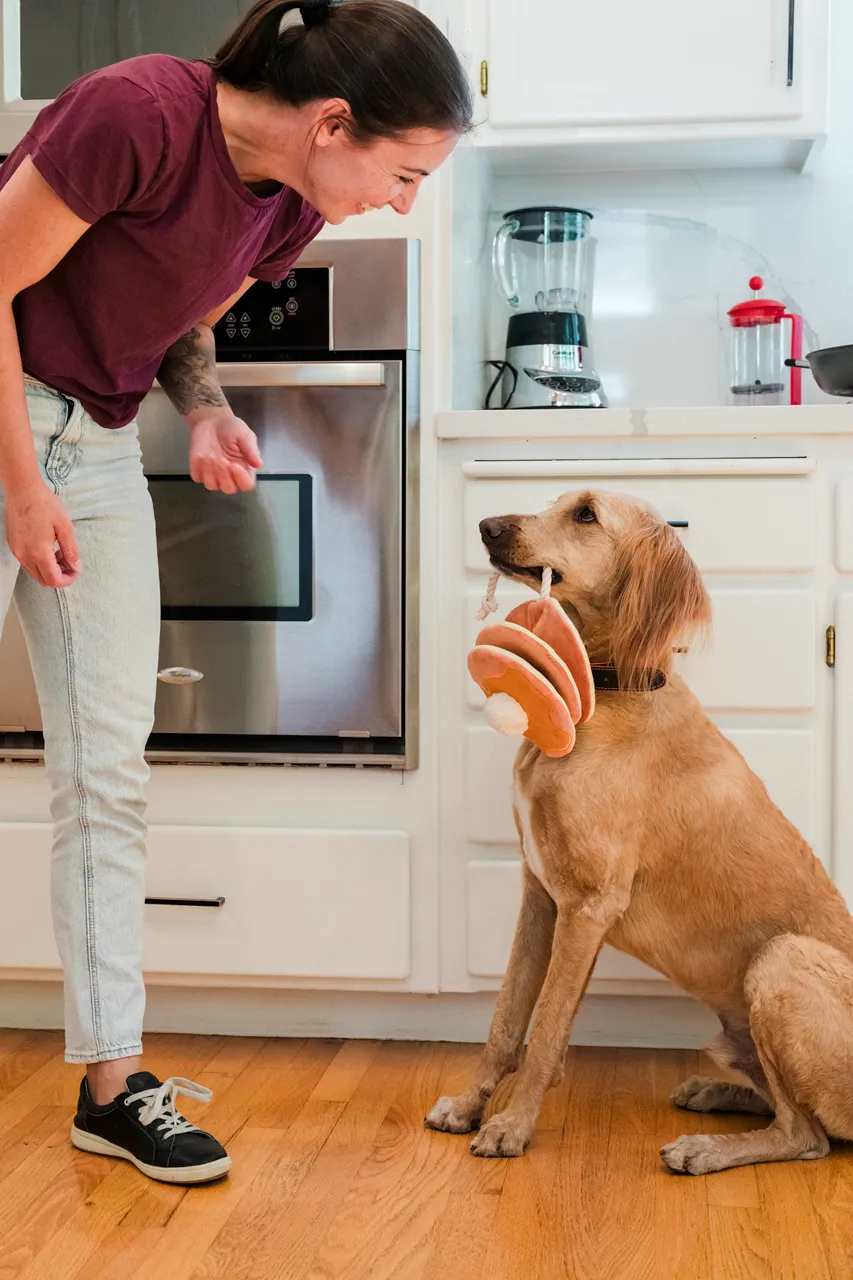 IHOP x P.L.A.Y. Squeaky Plush Dog toys, Pancake Pup Stack