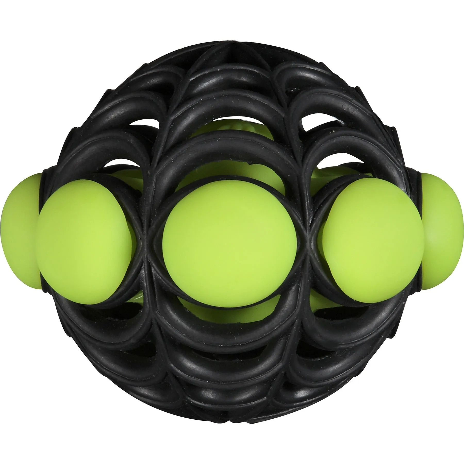 JW Arachnoid Ball Dog Toy