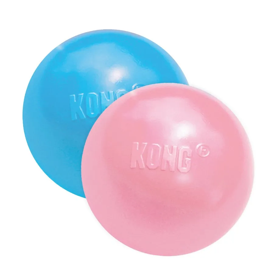 KONG Ball Puppy