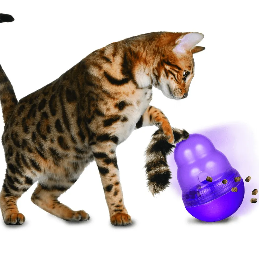 Kong Wobbler Toy for Cats