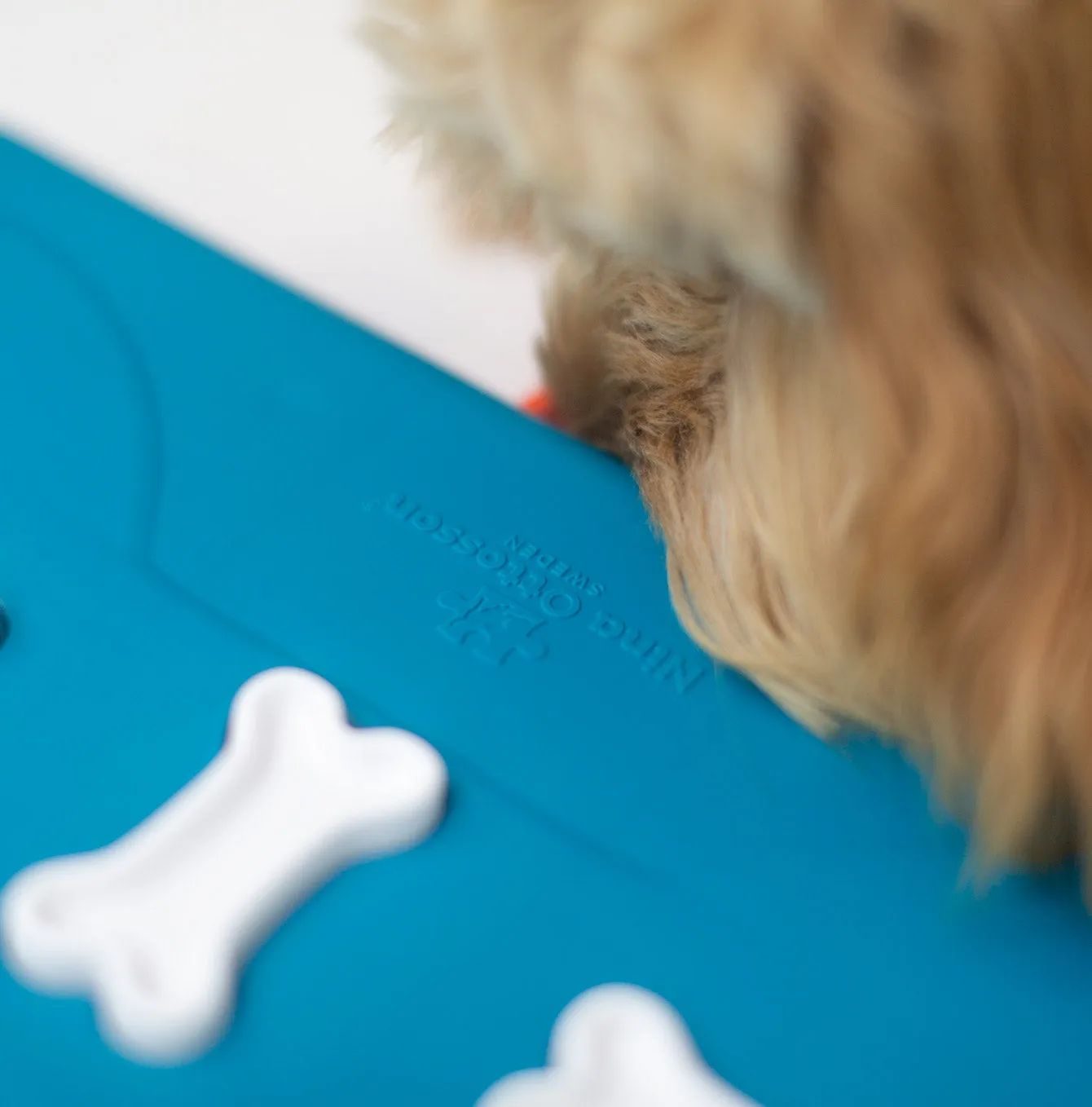 Nina Ottosson Dog Casino Puzzle