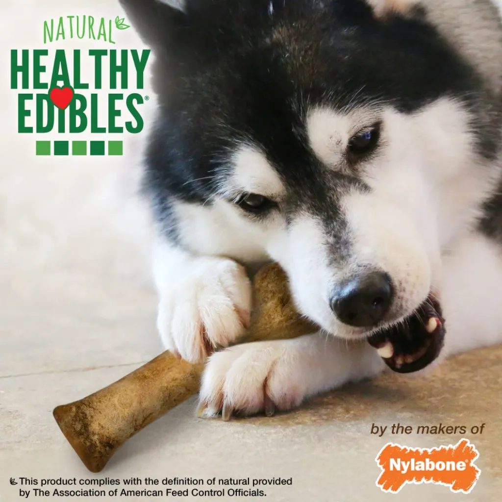 Nylabone Healthy Edibles WILD Natural Long Lasting Venison Flavor Dog Chew Treats - Large/Giant, 1-count