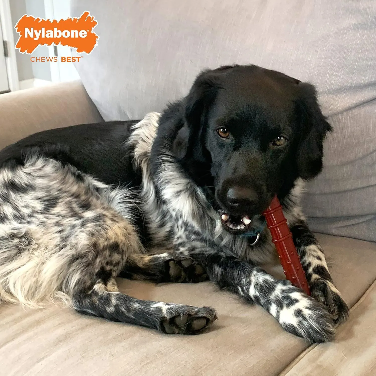 Nylabone Power Chew Basted