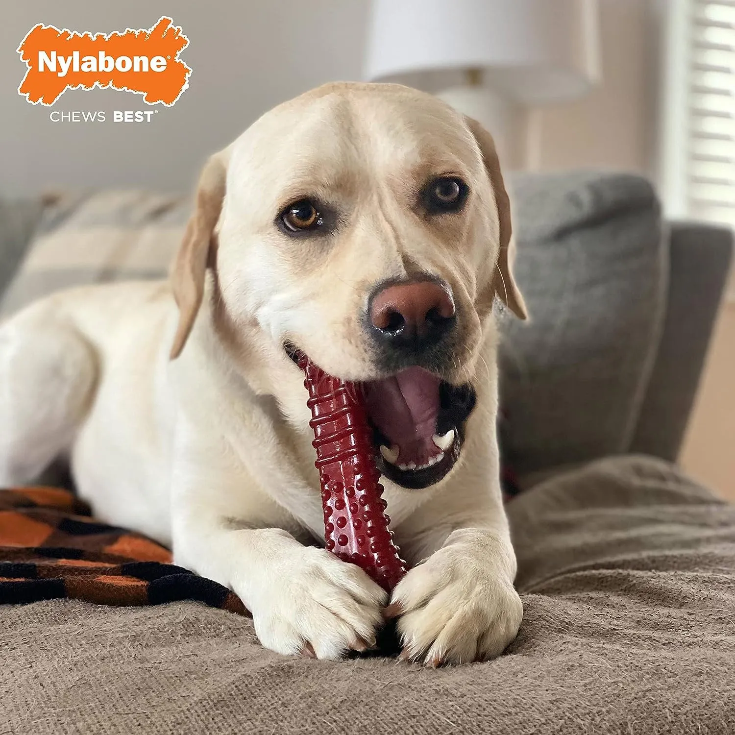 Nylabone Power Chew Basted