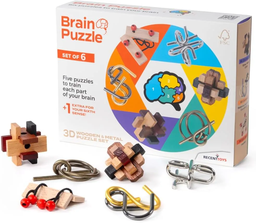 Recent Toys Brain Puzzle Set of 6 - Brainteasers - Riddles