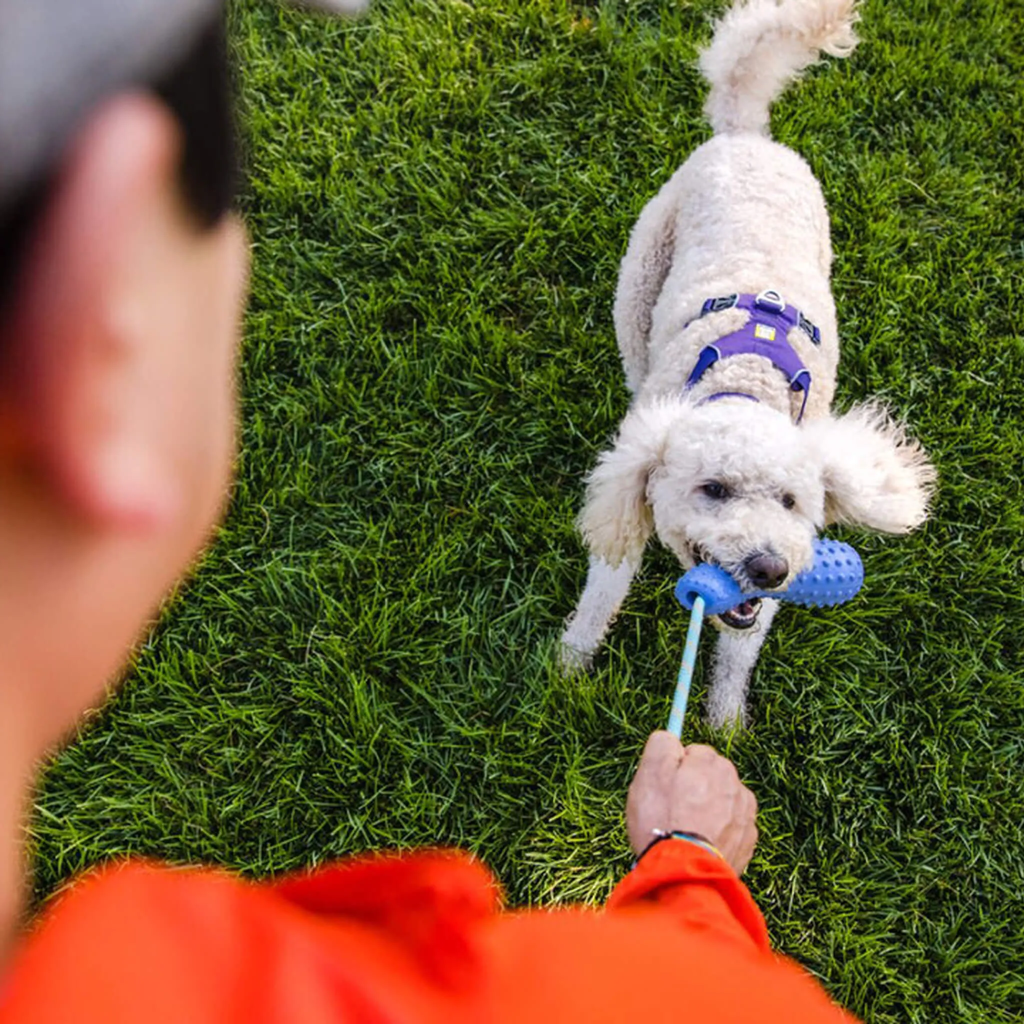 Ruffwear Gourdo Toy