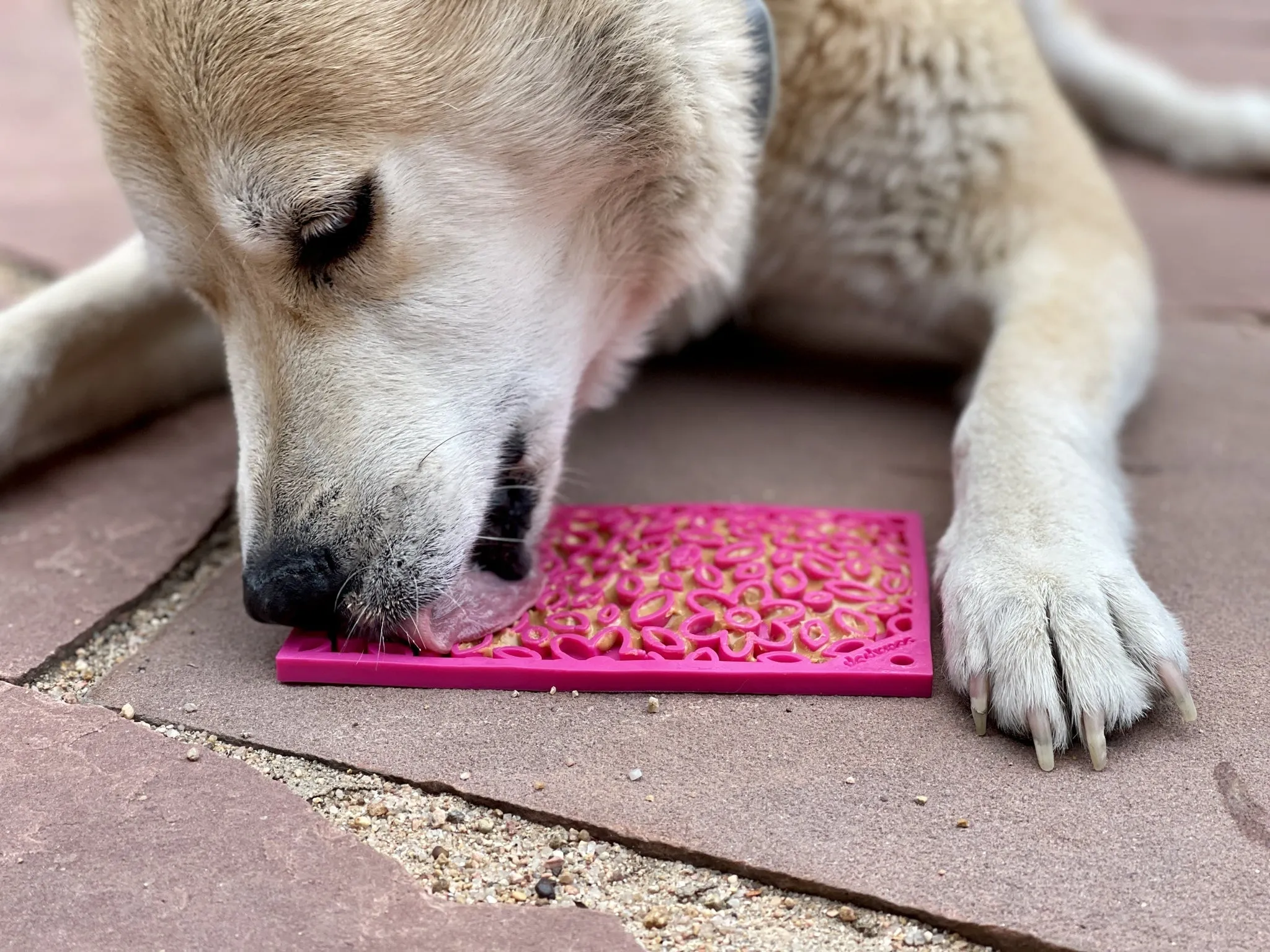 SP Enrichment Lick Mat - Flower Power