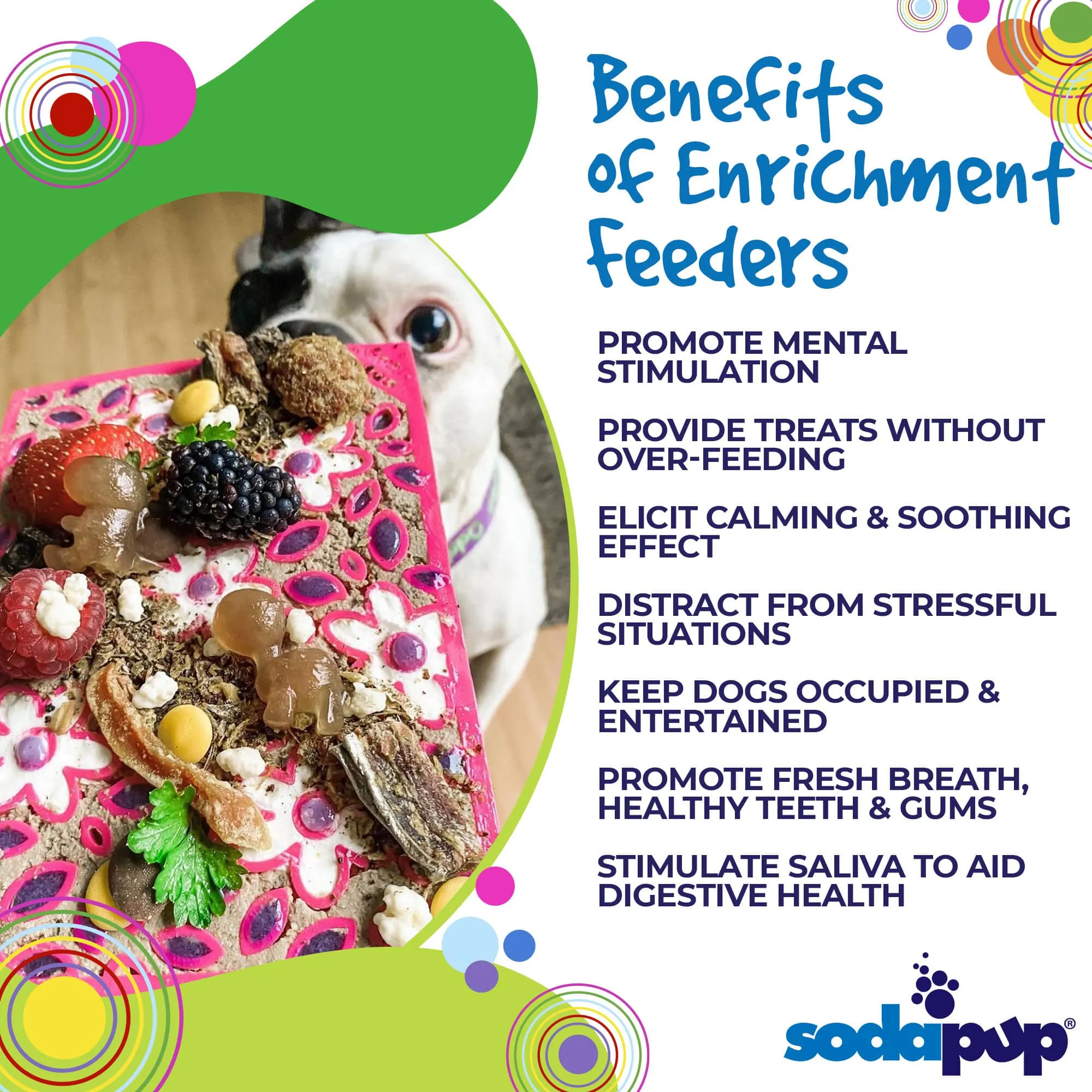 SP Enrichment Lick Mat - Flower Power