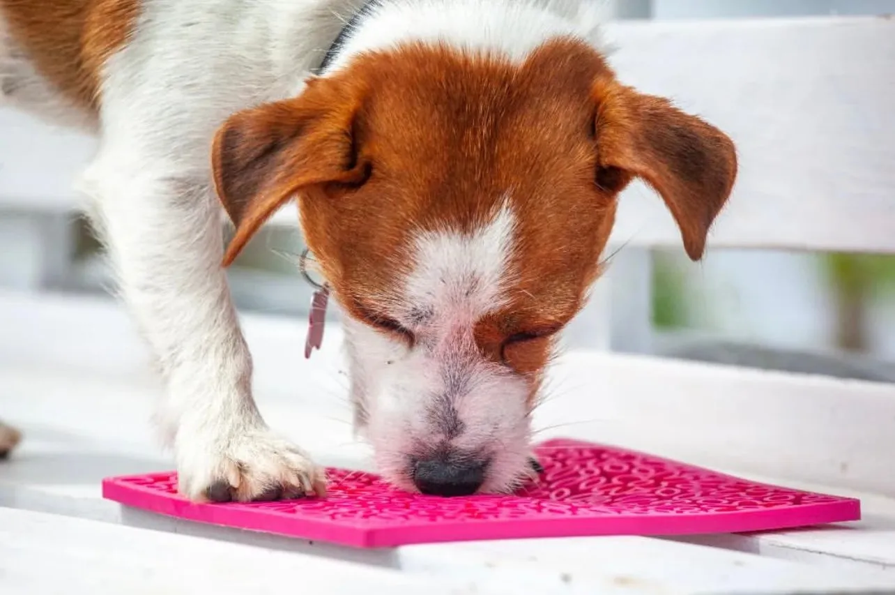 SP Enrichment Lick Mat - Flower Power