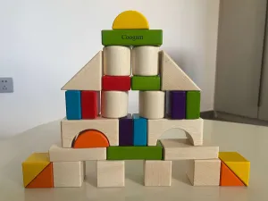 Toy Building Blocks