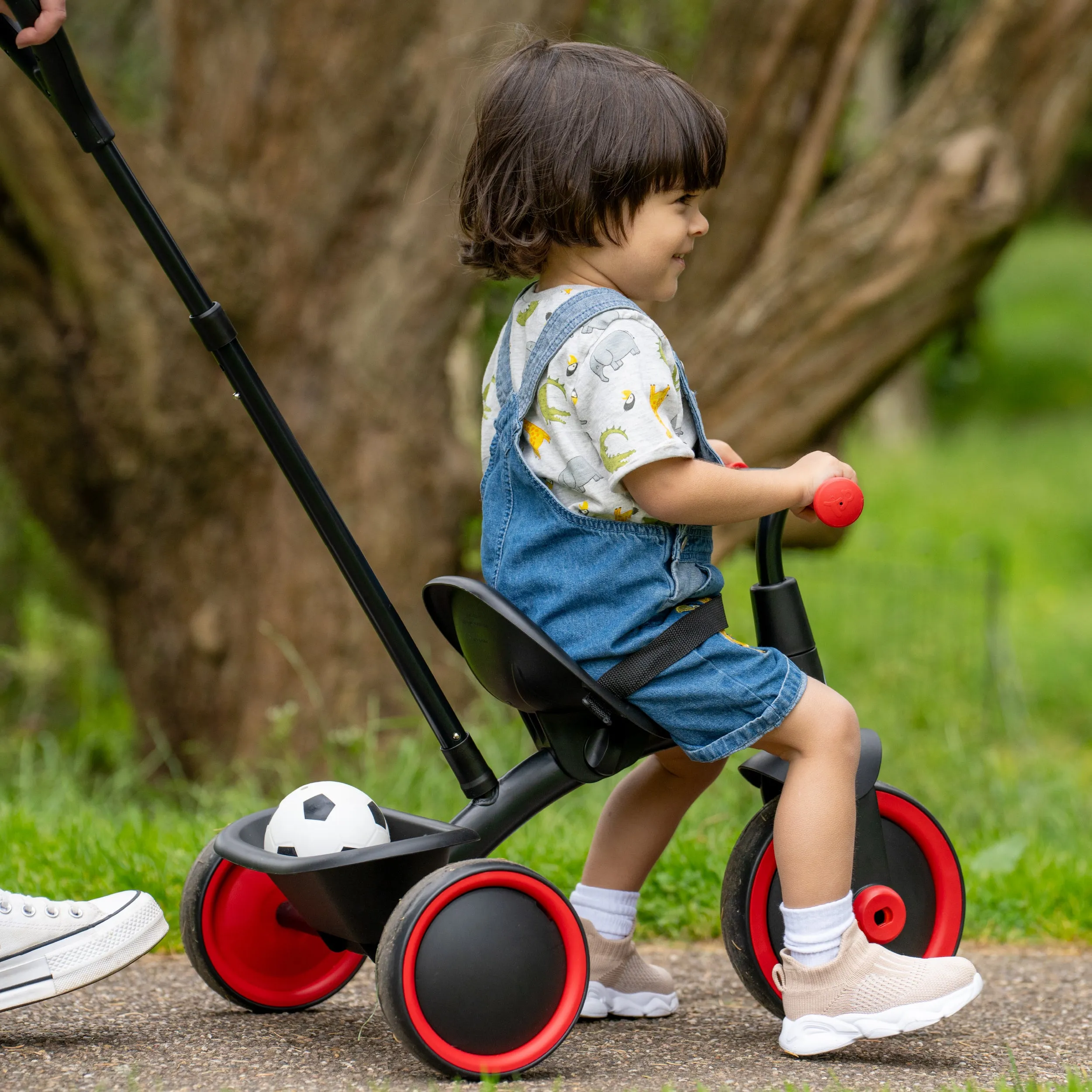 TP Toys Early Fun Trike - Firecracker